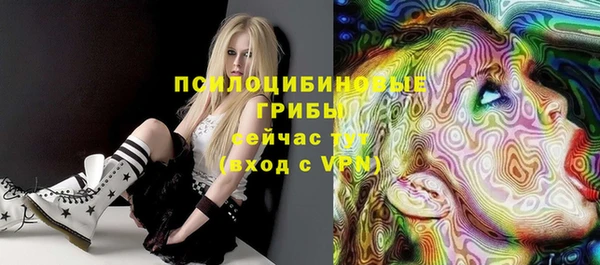 героин Горняк