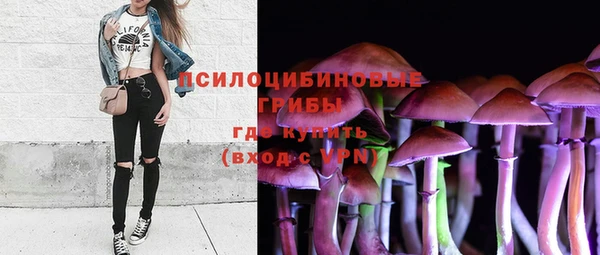 марки nbome Горнозаводск
