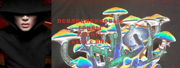 героин Горняк