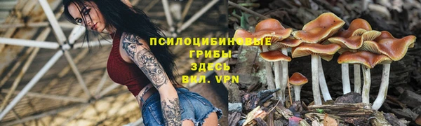 гидра Лихославль