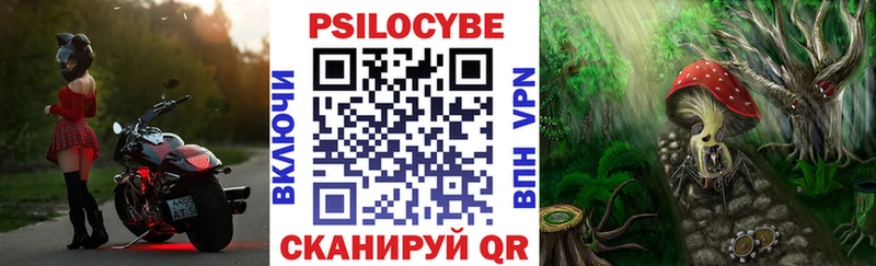 Галлюциногенные грибы MAGIC MUSHROOMS  Гусиноозёрск 